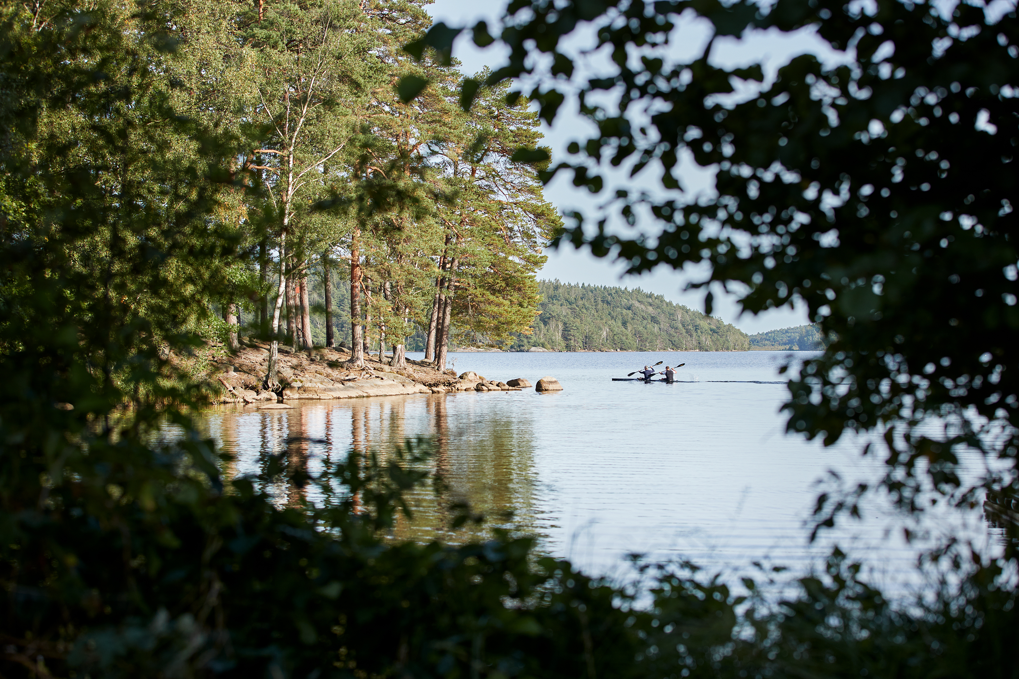 Maisema, jossa on puita ja vettä