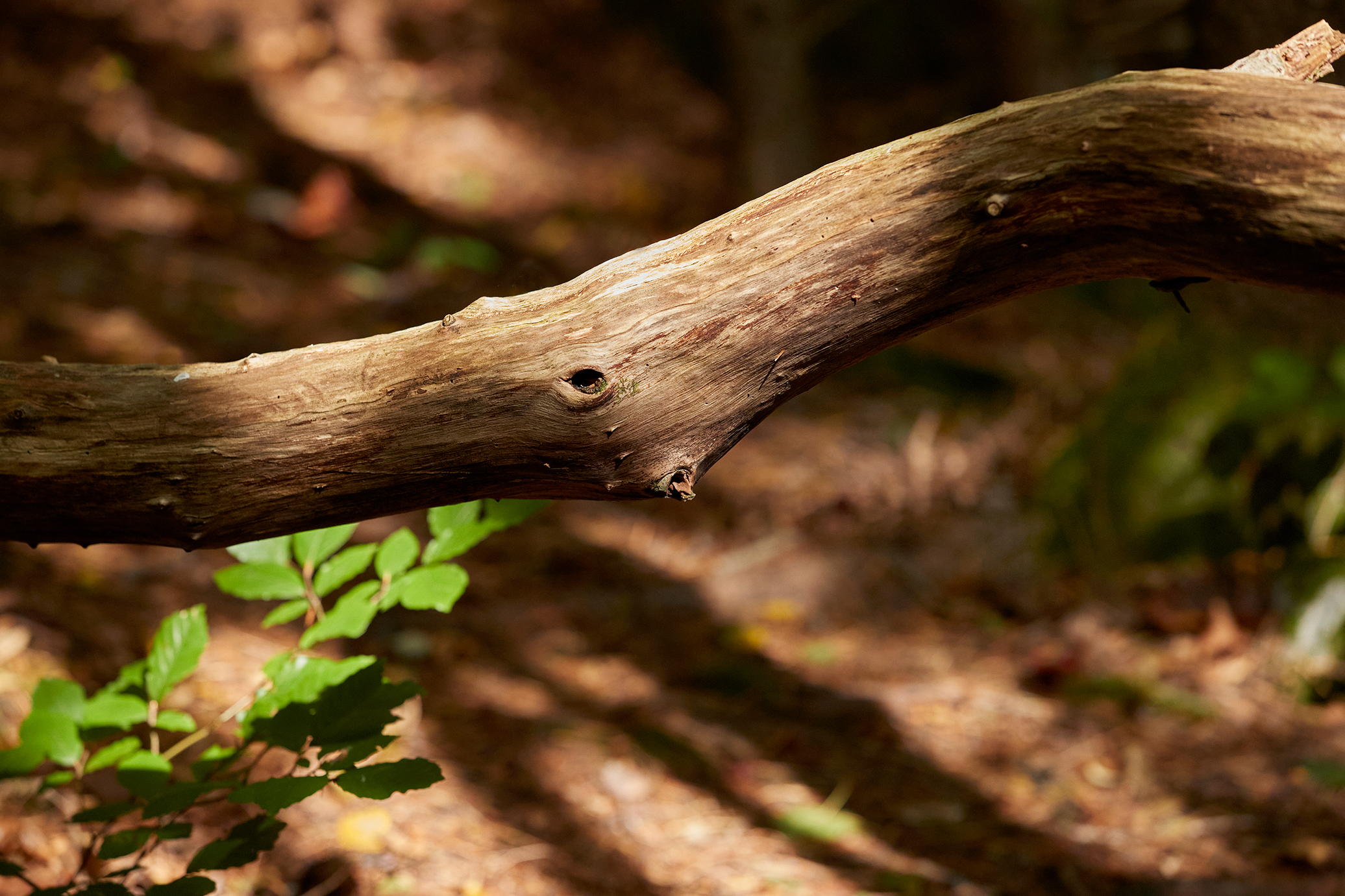 Cirkulär ekonomi för ett hållbart samhälle