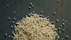 A pile of white plastic pellets against a dark gray background.