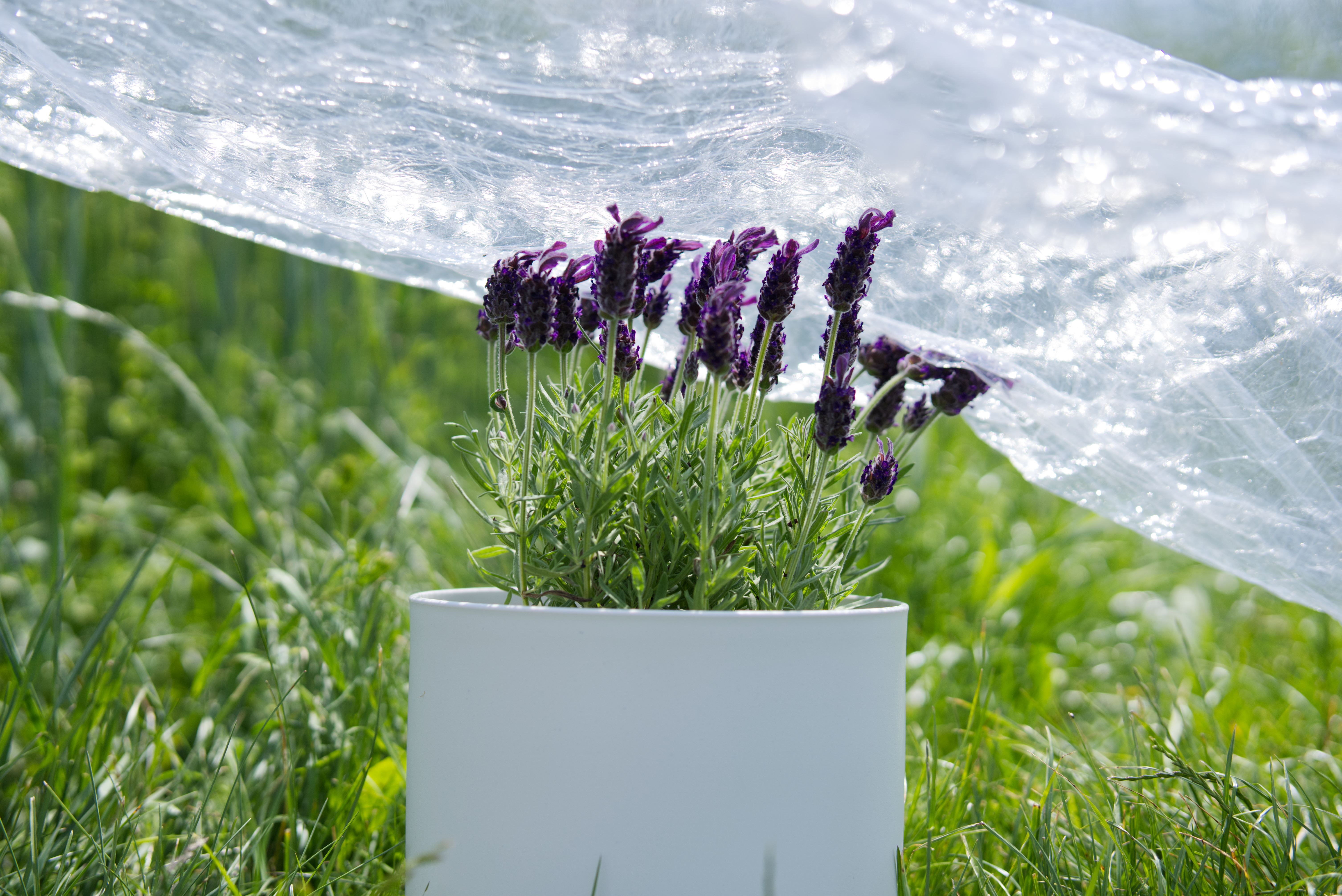 Eko logiczne doniczki Stena Recycling, Castorama, Deko eko