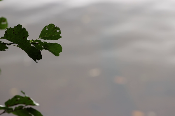 Polscy konsumenci domagają się oznaczania produktów pod kątem emisji CO2