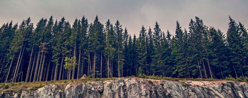 Wspólny manifest na rzecz ratowania planety