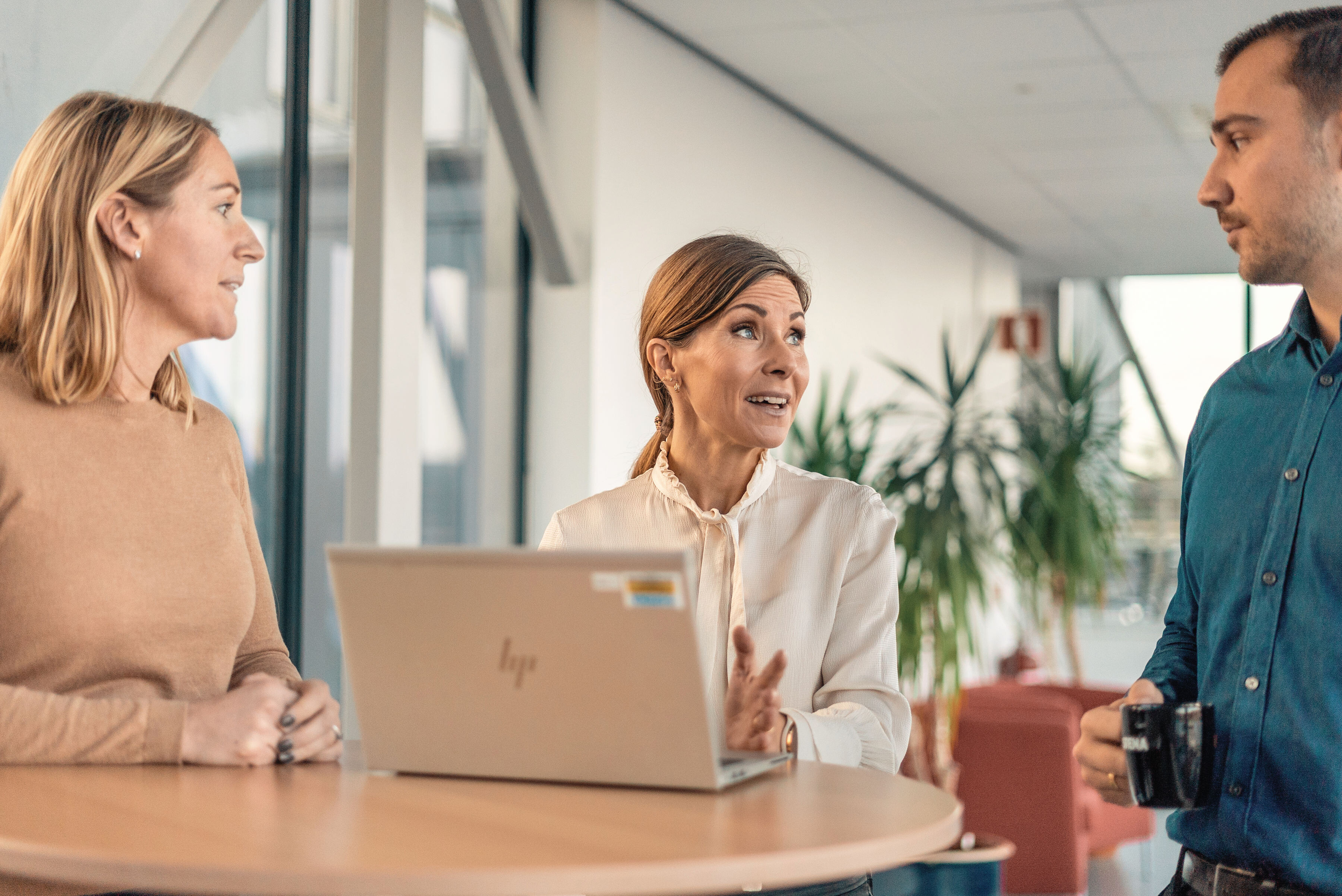 regler og krav undersøge