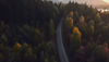 A road through a forest covered landscape