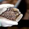 Hands holdning shedded material