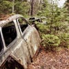 Överbliven bil i skogen.