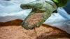 A gloved hand with copper