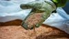 A gloved hand with copper