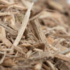 A close-up of wooden splinters