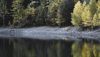 Conceptual autumn picture of trees and lake