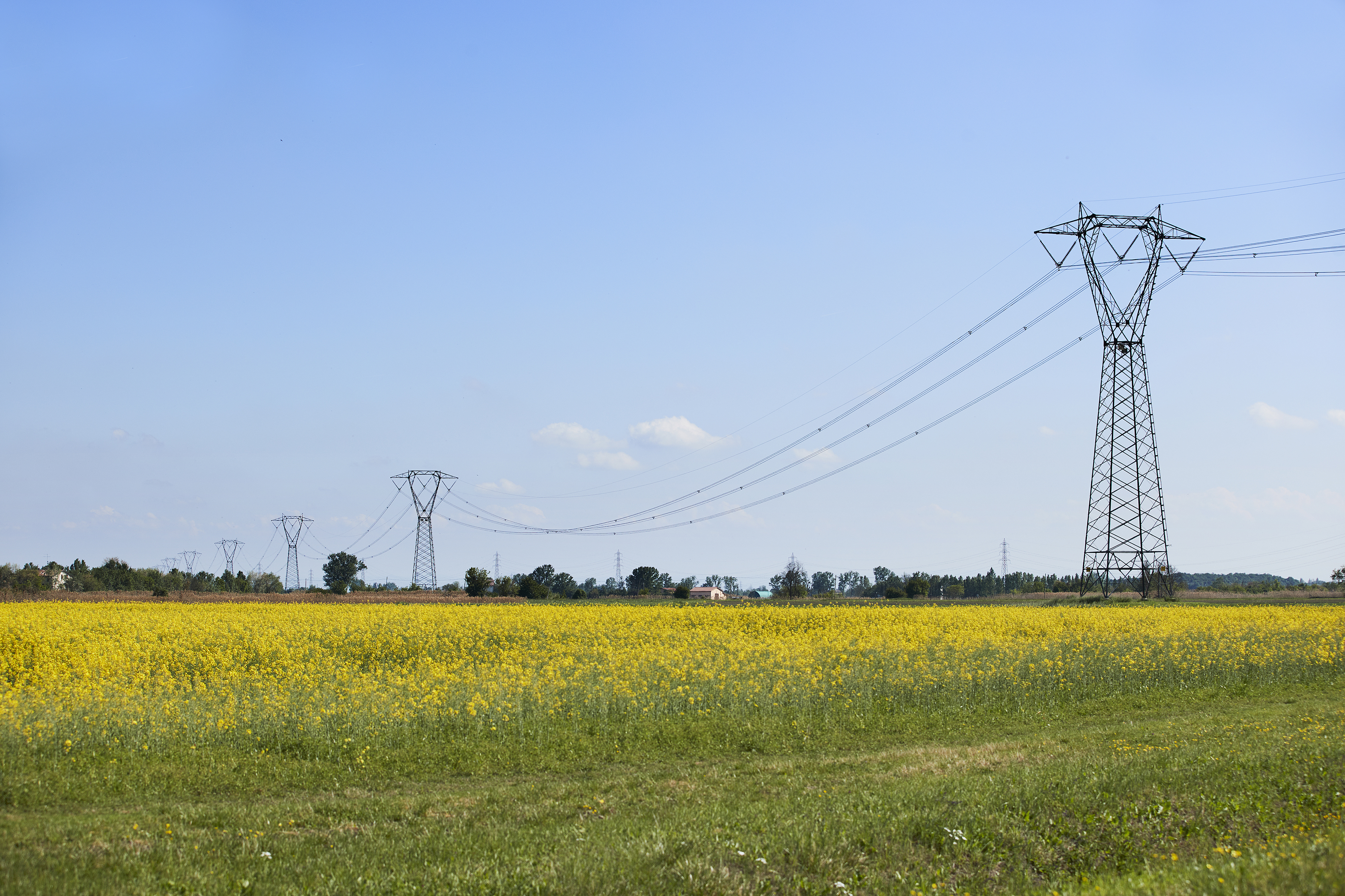 Landscape with power line poles stretching over a yellow rape field under a blue sky